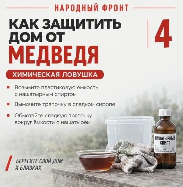 Фото из поста