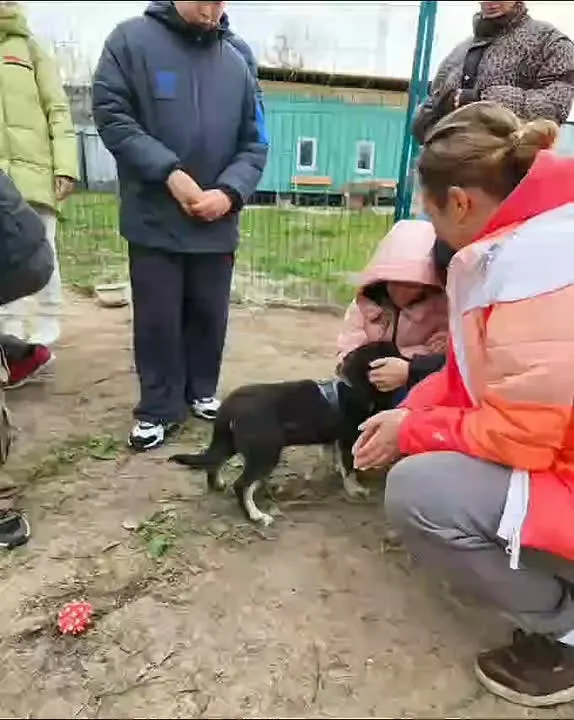Обложка видео