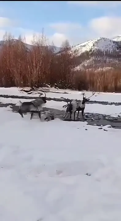 Обложка видео