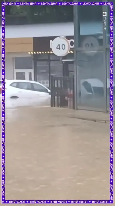 Обложка видео