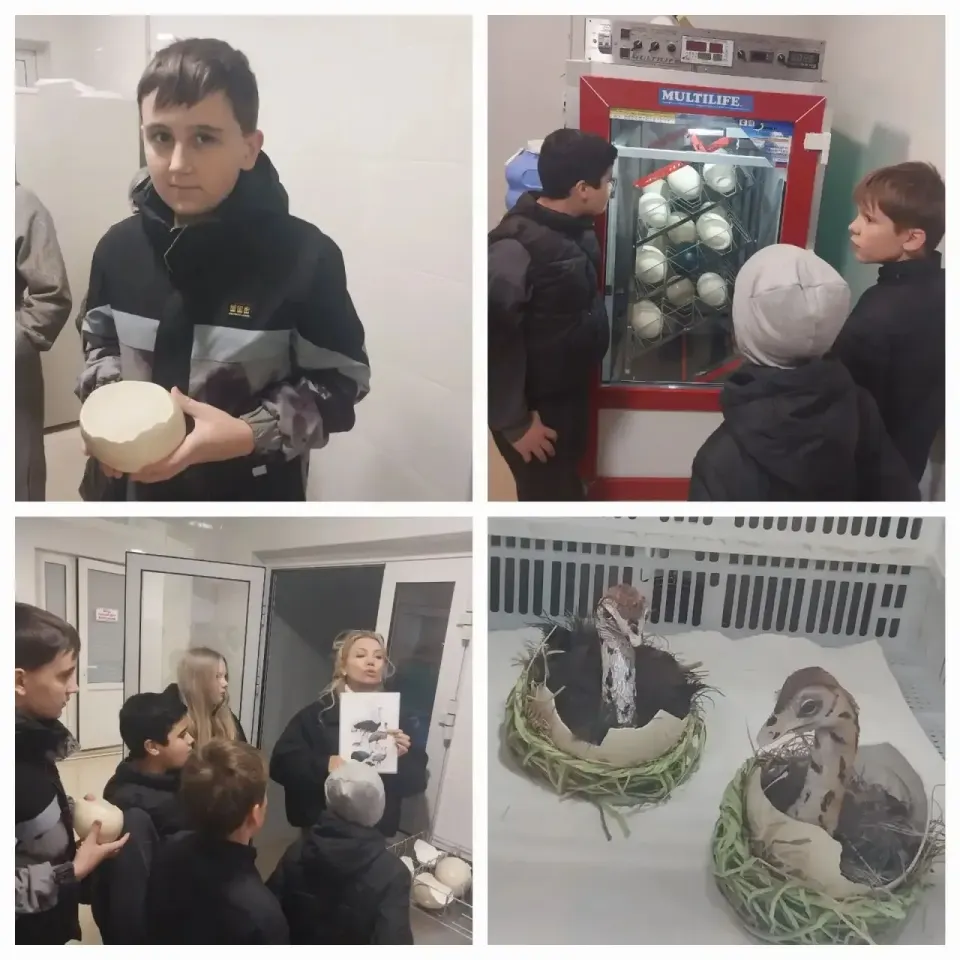 Фото из поста