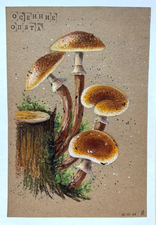 Фото из поста