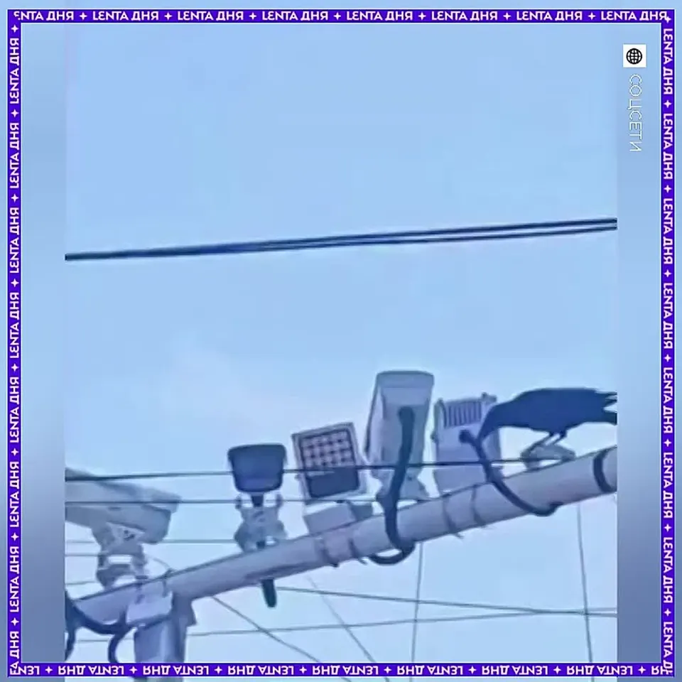 Обложка видео