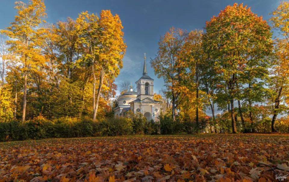 Фото из поста