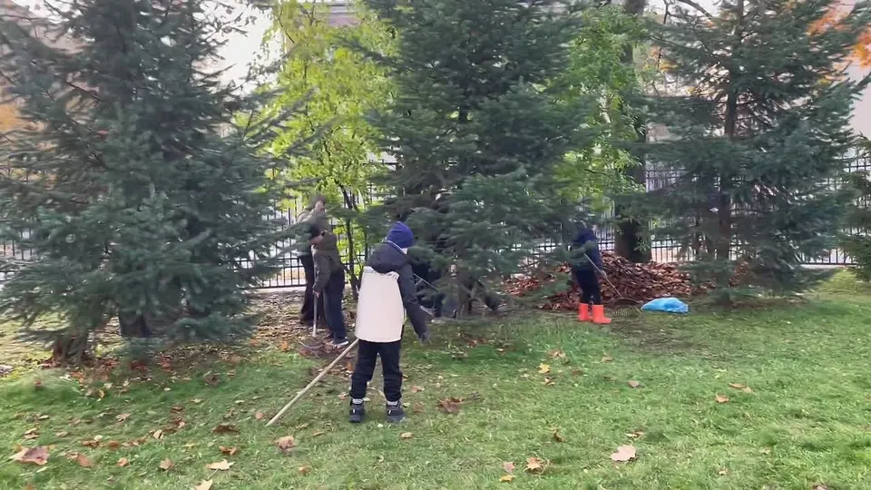 Обложка видео