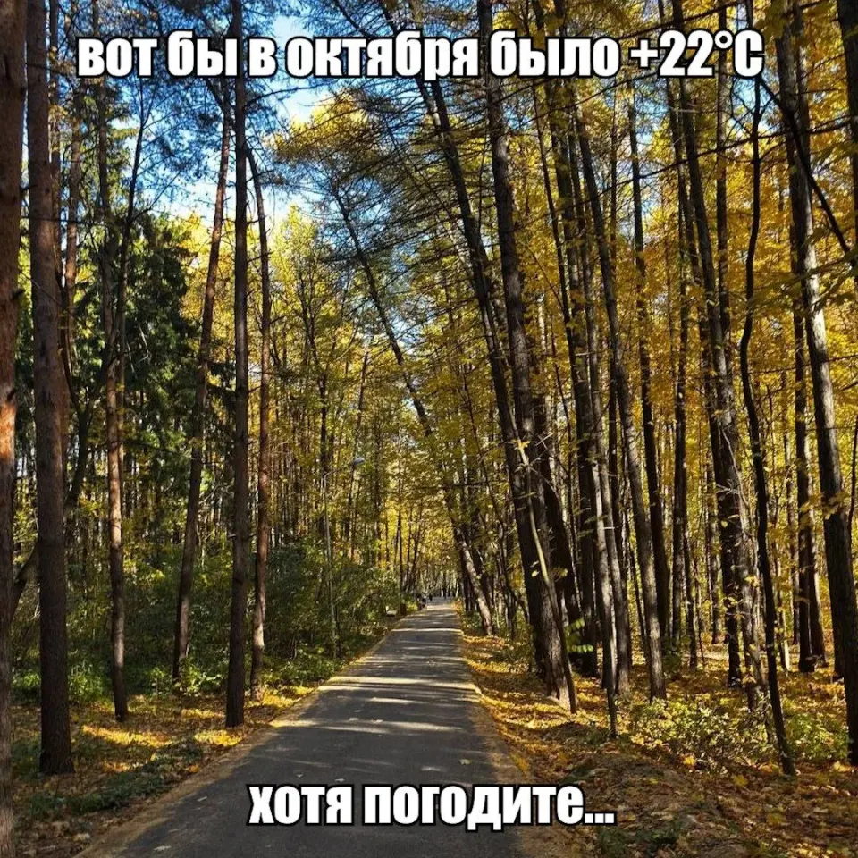 Фото из поста
