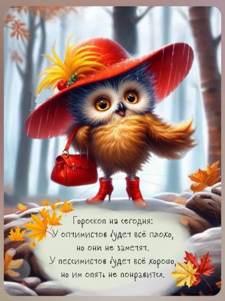 Фото из поста