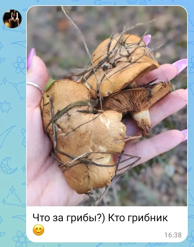 Фото из поста