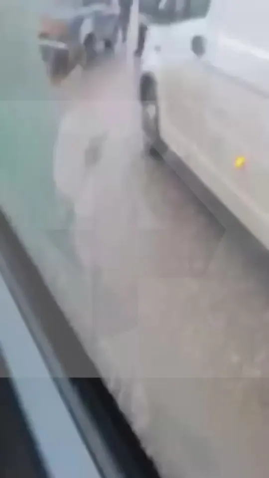 Обложка видео