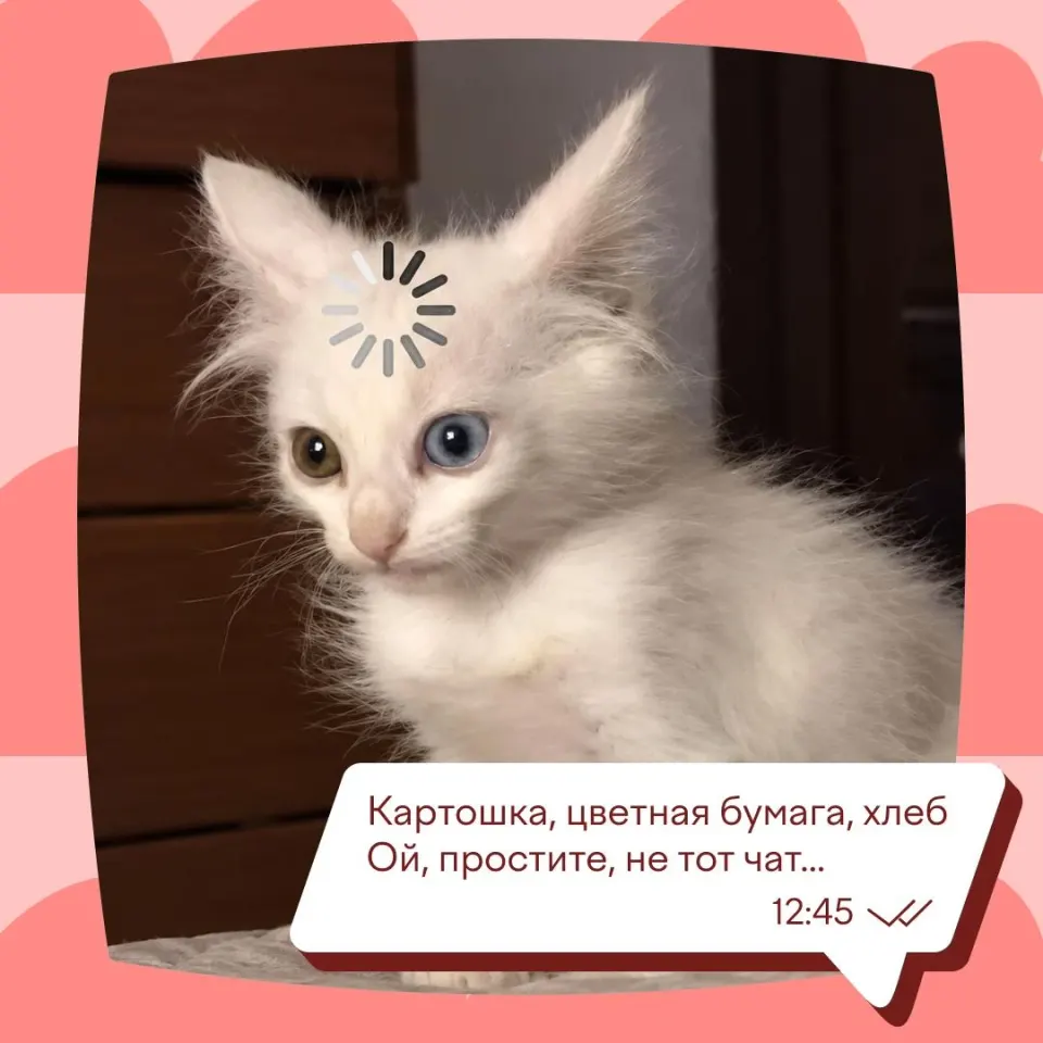 Фото из поста
