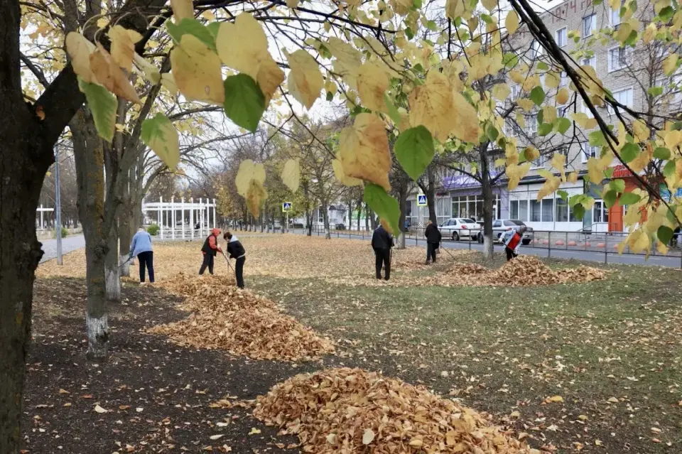 Фото из поста