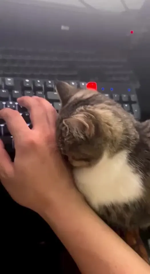Обложка видео