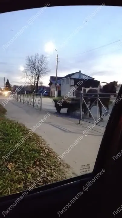 Обложка видео