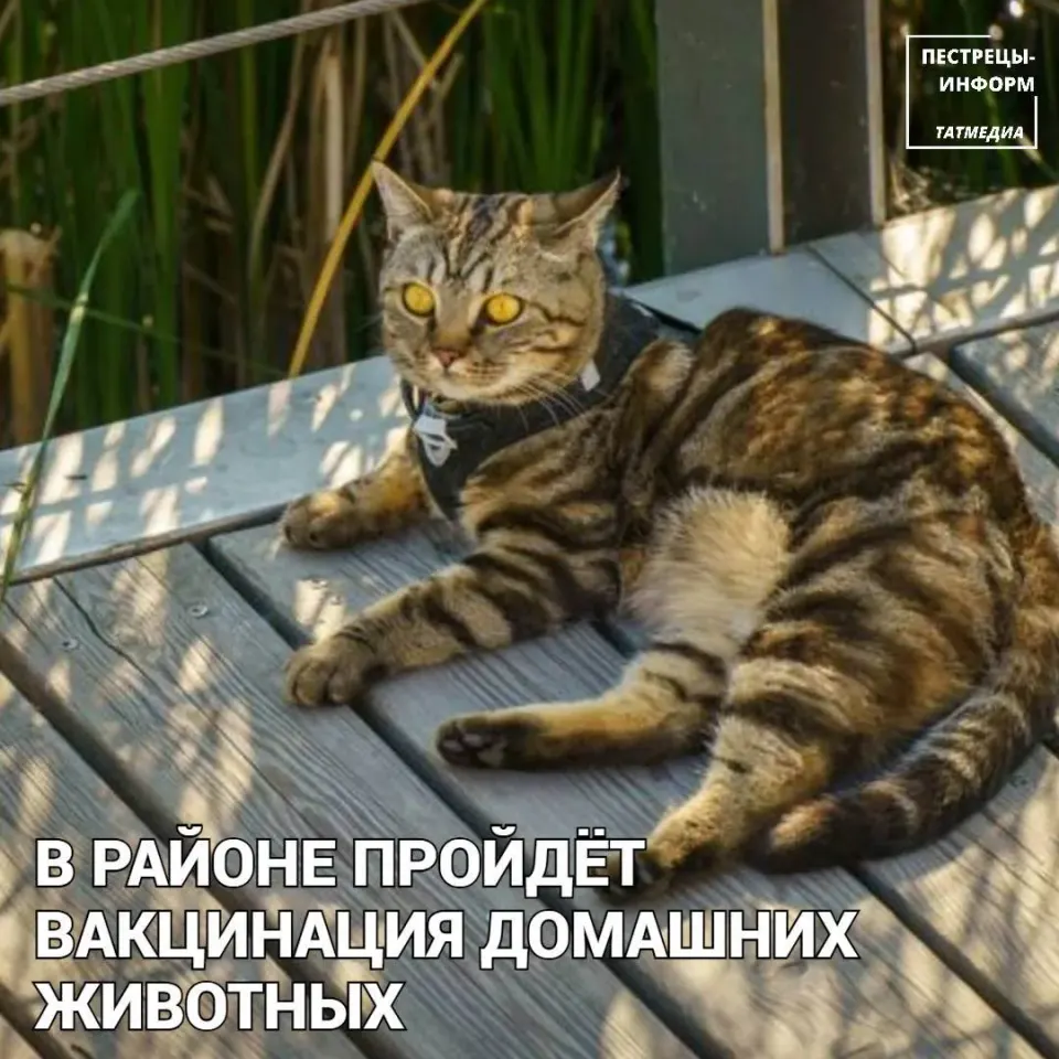 Фото из поста