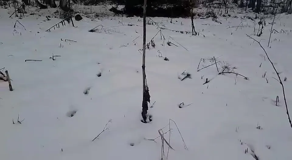Обложка видео