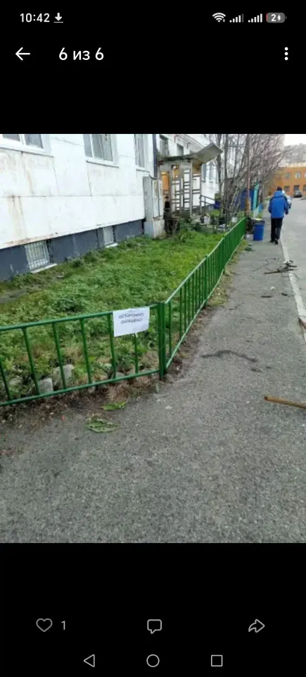 Фото из поста