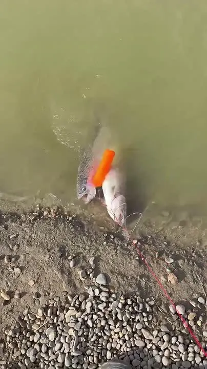 Обложка видео