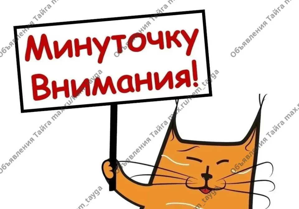 Фото из поста