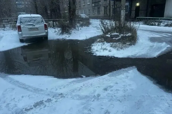 Фото из поста