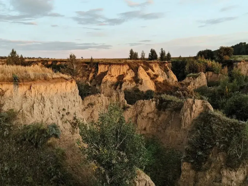 Фото из поста