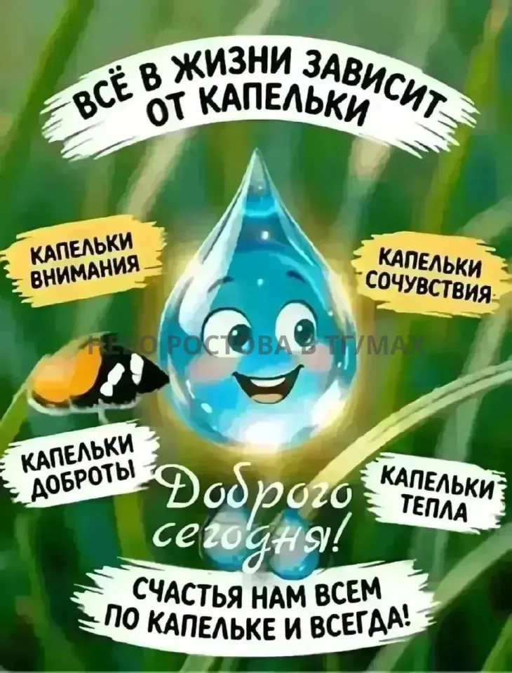 Фото из поста