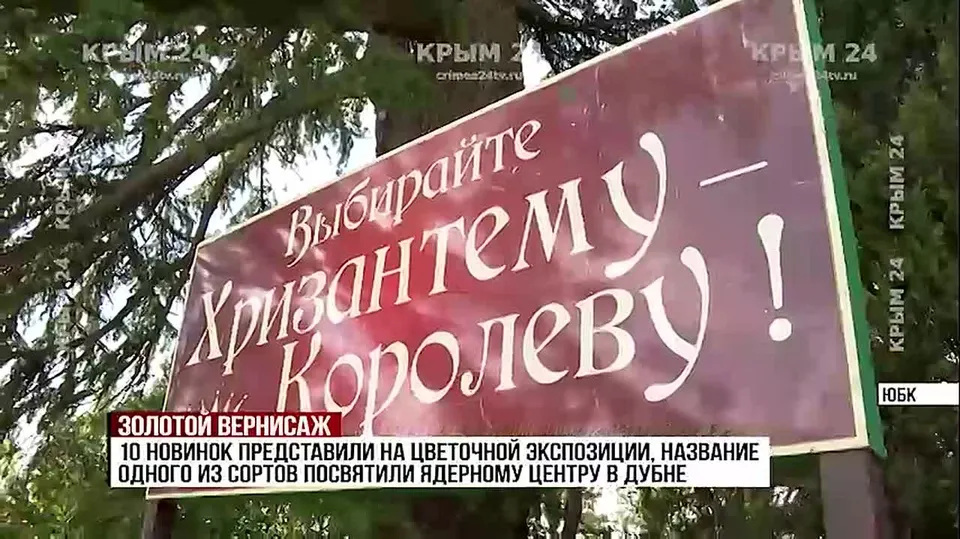 Обложка видео
