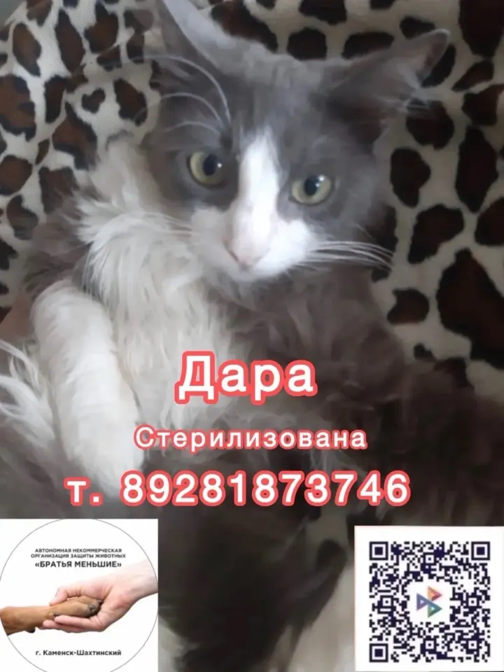 Фото из поста