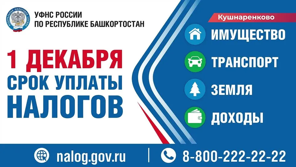 Обложка видео