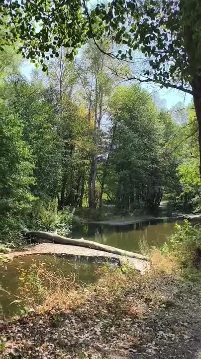 Обложка видео
