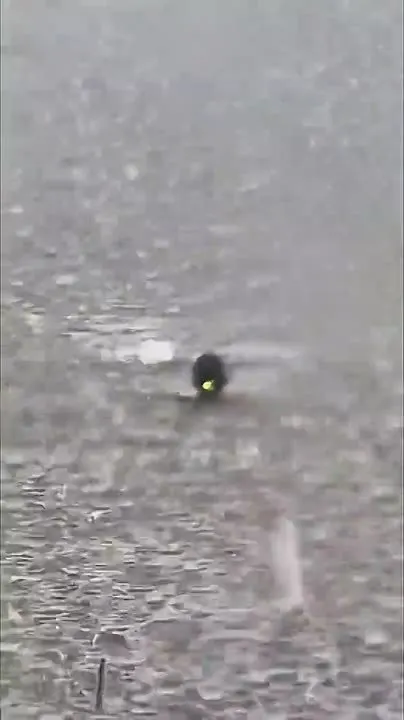 Обложка видео