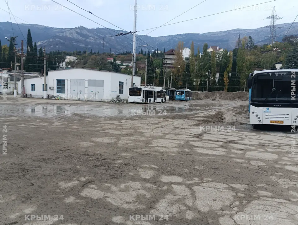 Фото из поста