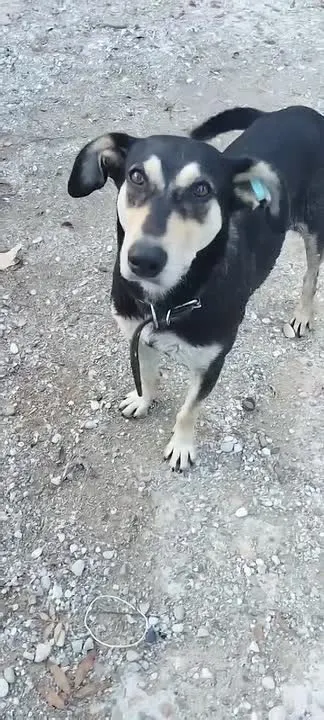 Обложка видео