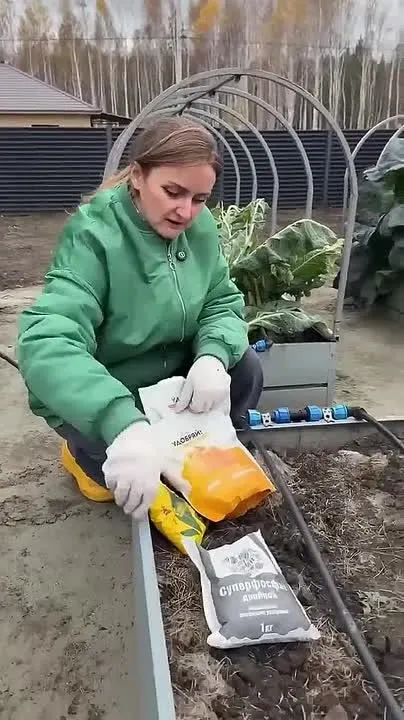 Обложка видео