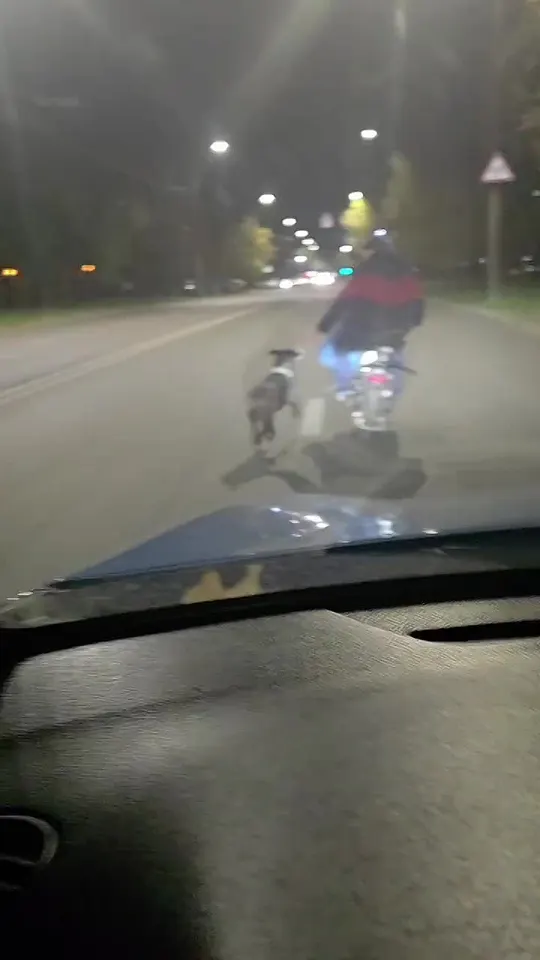 Обложка видео