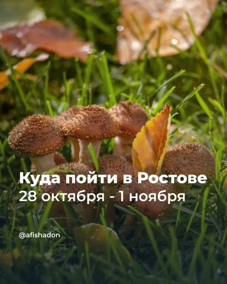 Фото из поста