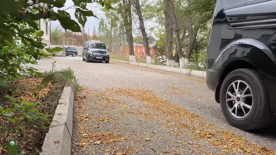 Обложка видео