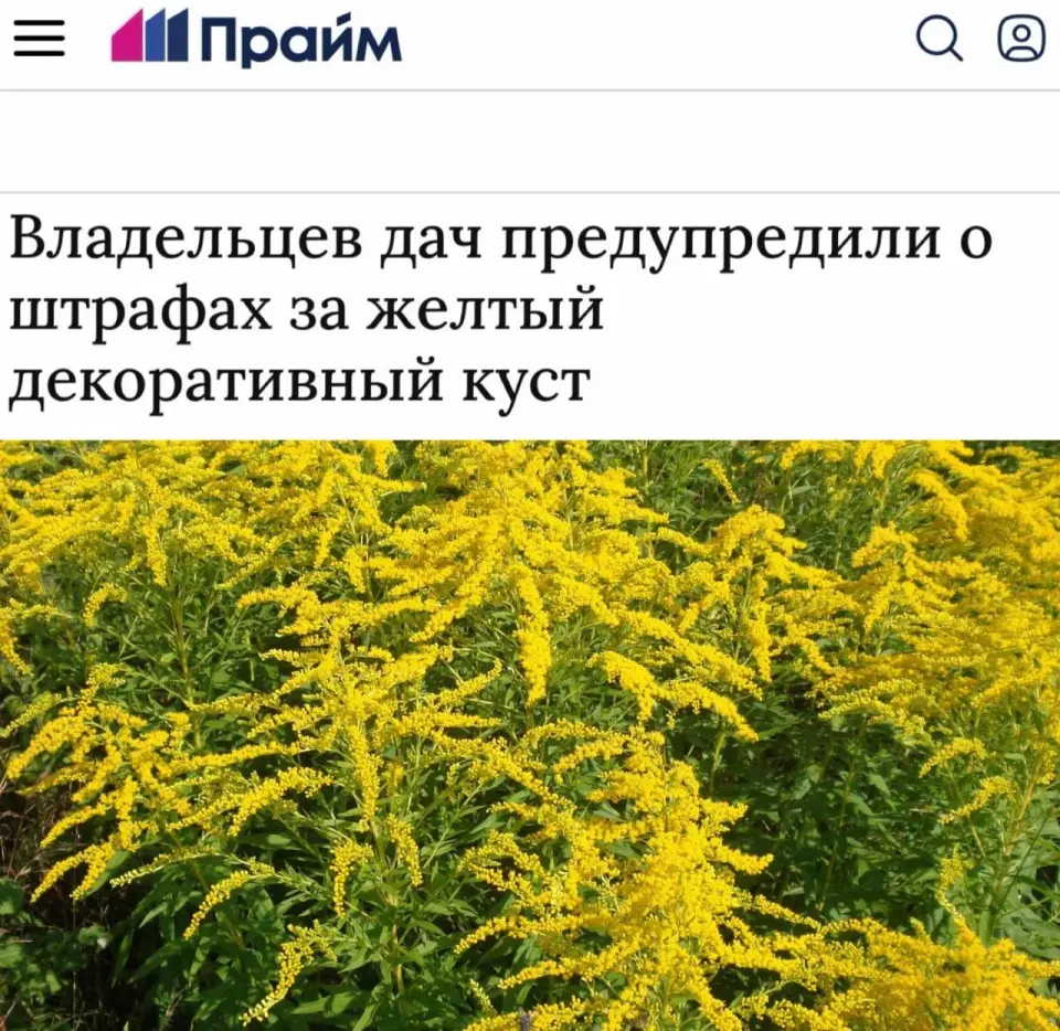 Фото из поста