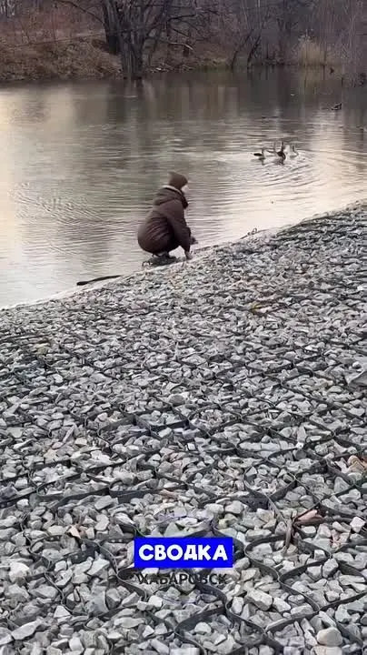 Обложка видео