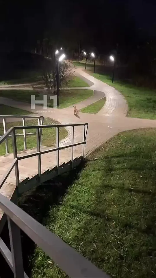 Обложка видео