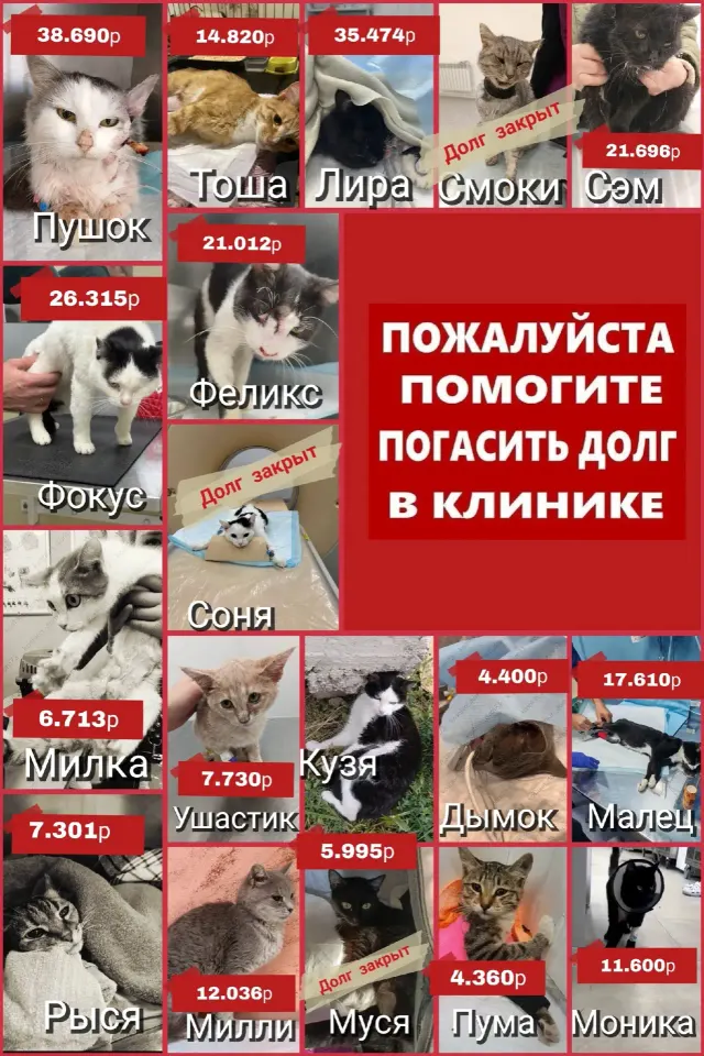 Фото из поста
