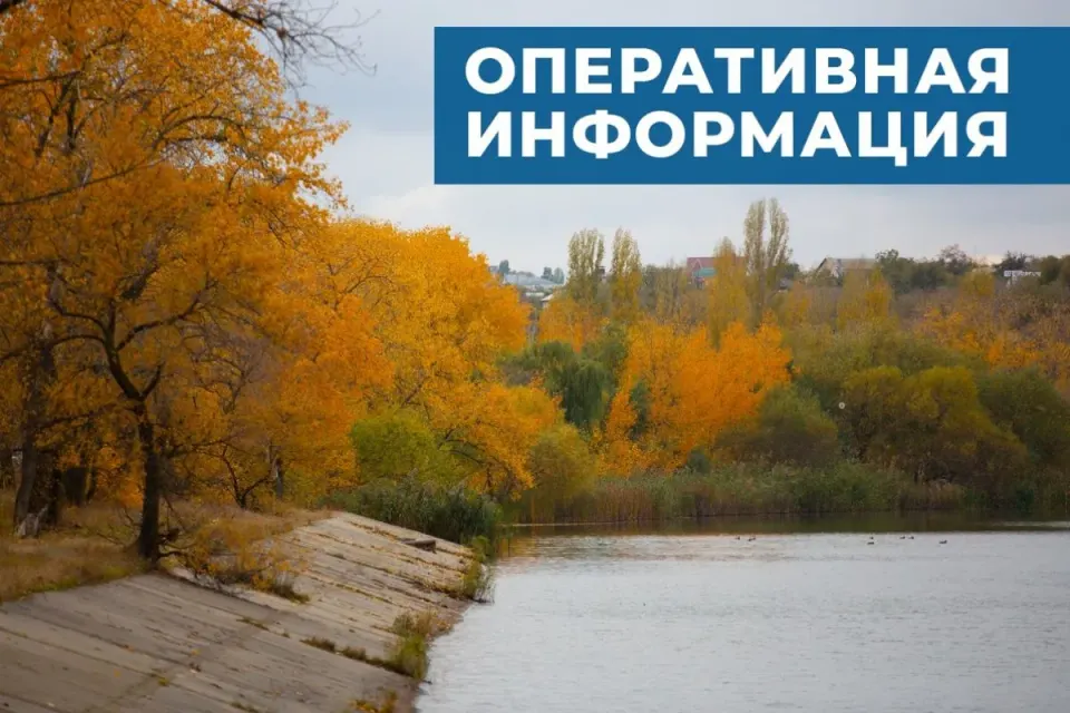 Фото из поста