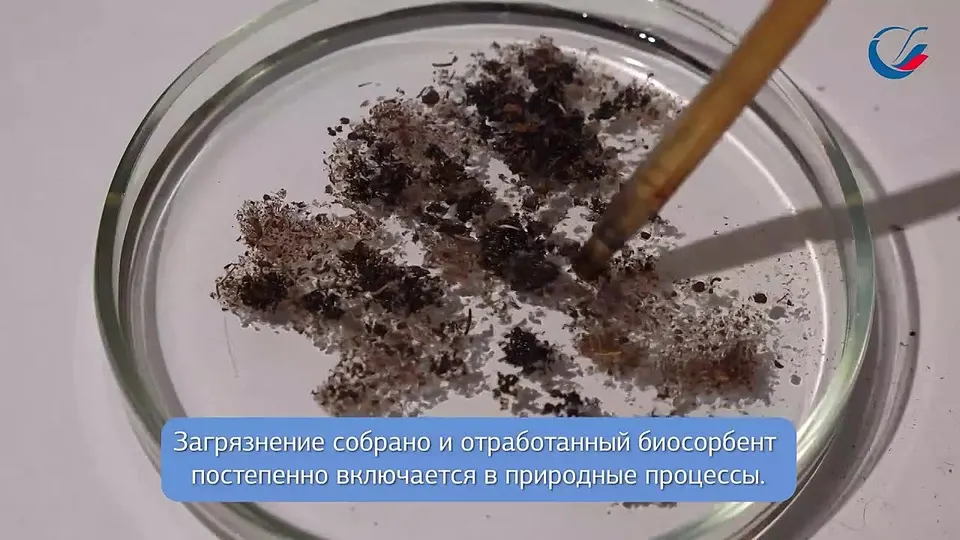 Обложка видео