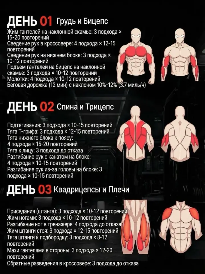 Фото из поста