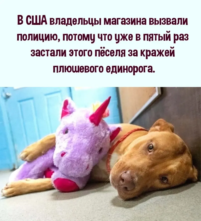 Фото из поста
