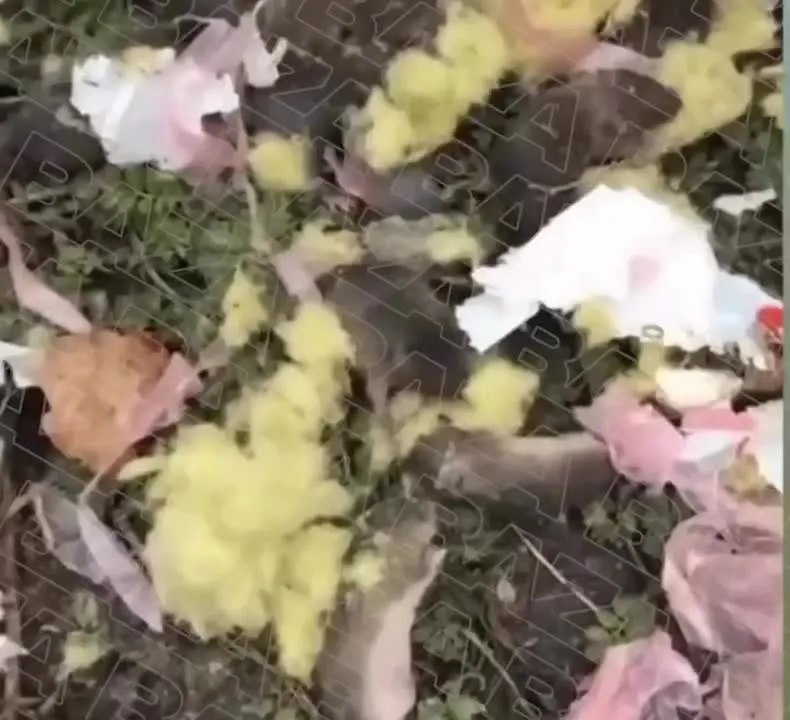 Обложка видео