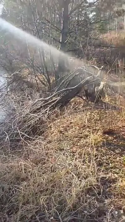 Обложка видео
