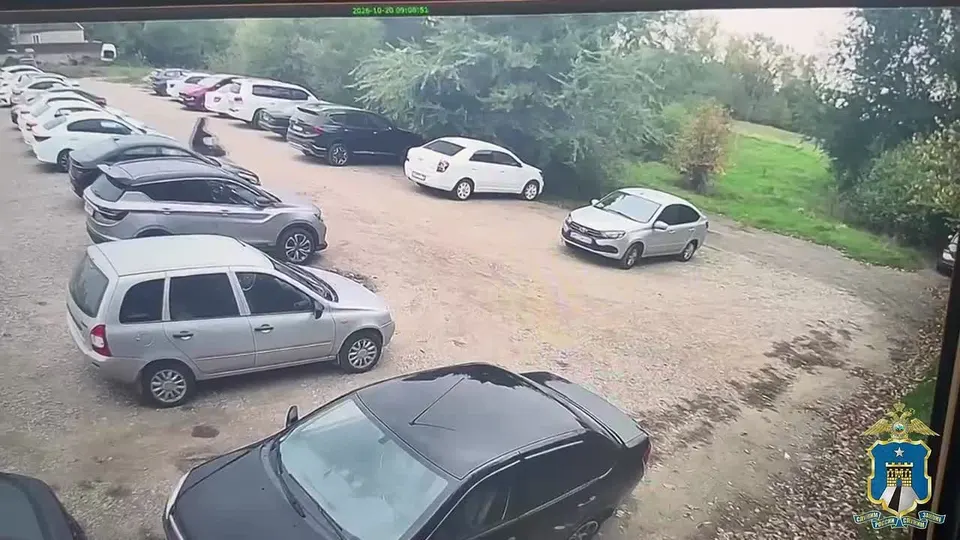 Обложка видео