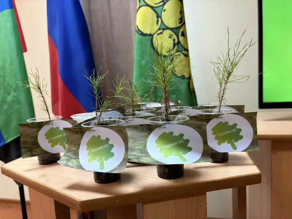 Фото из поста