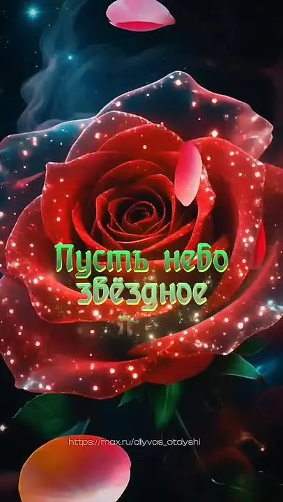 Обложка видео