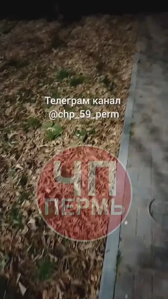 Обложка видео